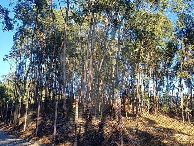 Terreno à venda em Penhalonga e Paços de Gaiolo, Marco de Canaveses RE/MAX Portugal
