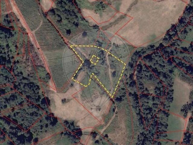 Terreno à venda em Penude, Lamego RE/MAX Portugal