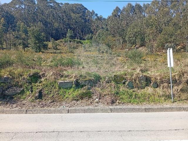 Terreno à venda em Pereira, Barcelos RE/MAX Portugal