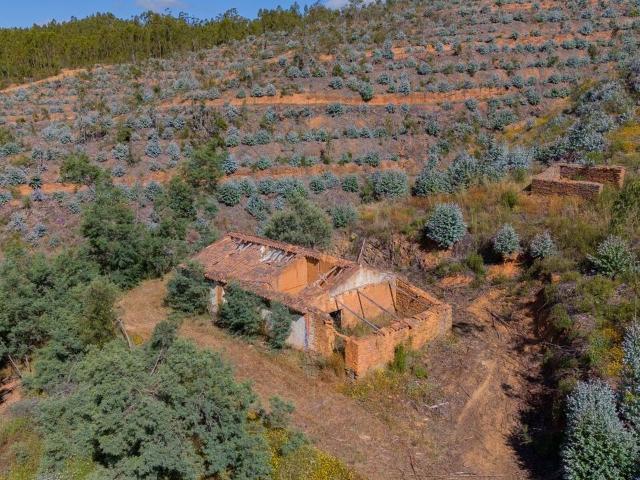 Terreno à venda em Pereiro Grande