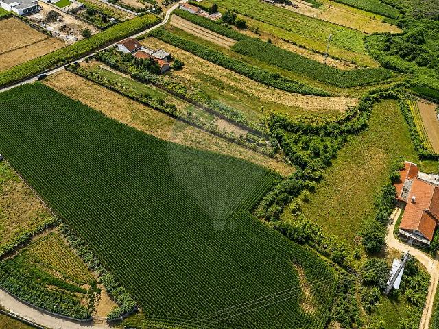 Terreno à venda em Perelhal, Barcelos RE/MAX Portugal