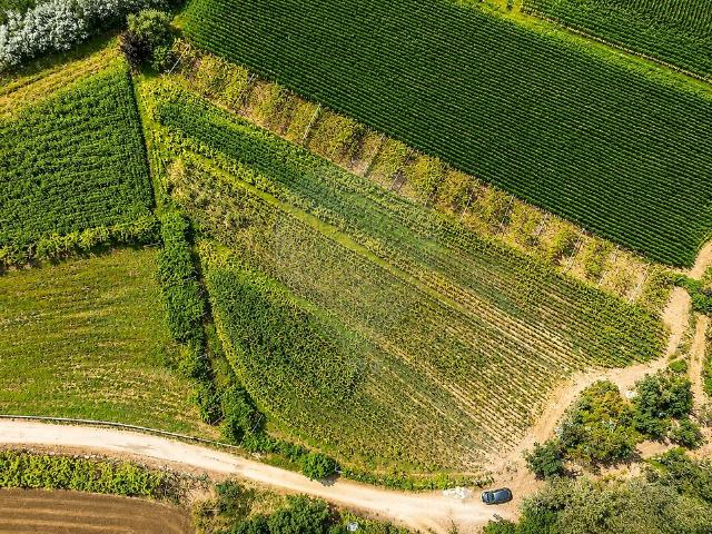 Terreno à venda em Perelhal, Barcelos RE/MAX Portugal