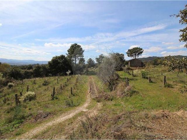 Terreno à venda em Pêro Viseu, Fundão RE/MAX Portugal