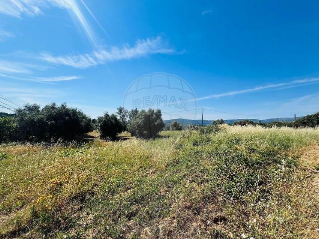 Terreno à venda em Pêro Viseu, Fundão RE/MAX Portugal