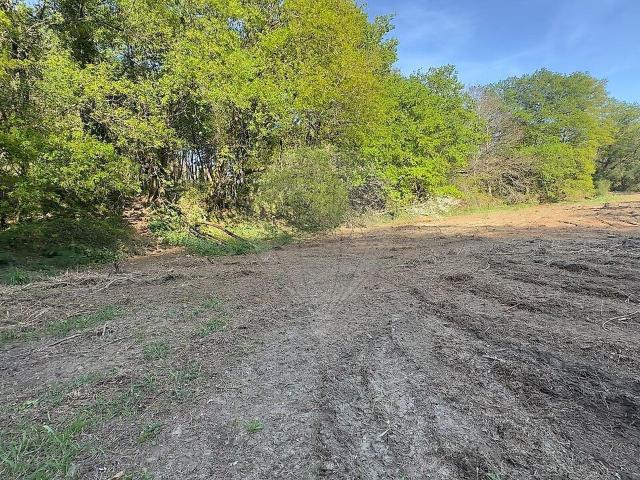 Terreno à venda em Pico, Vila Verde RE/MAX Portugal
