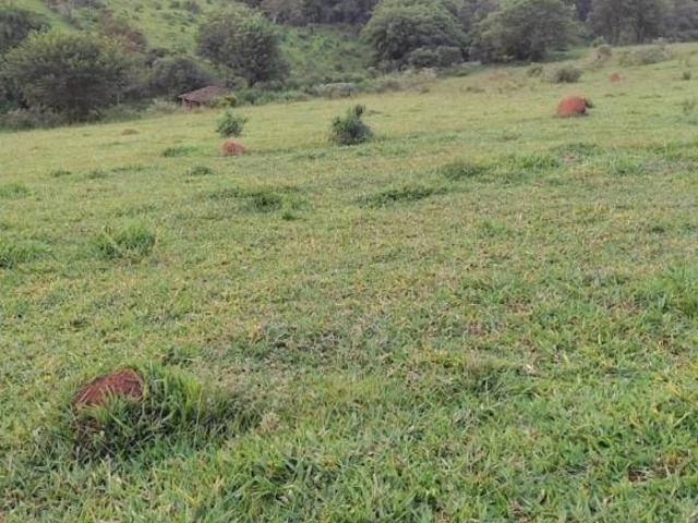 TERRENO À VENDA EM PIEDADE DOS GERAIS/MG