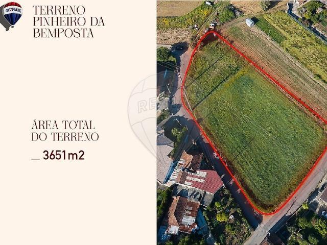 Terreno à venda em Pinheiro da Bemposta, Travanca e Palmaz, Oliveira de Azeméis RE/MAX Portugal