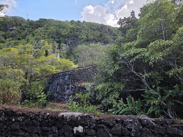 Terreno à venda em Prainha, São Roque do Pico RE/MAX Portugal