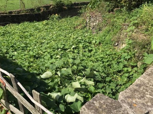Terreno à venda em Biscoitos, Praia da Vitória RE/MAX Portugal