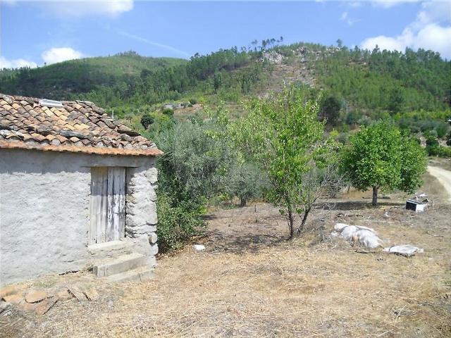 Terreno à venda em Proença a Nova e Peral, Proença a Nova RE/MAX Portugal
