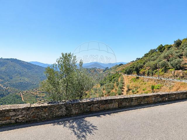 Terreno à venda em Provesende, Gouvães do Douro e São Cristóvão do Douro, Sabrosa RE/MAX Portugal