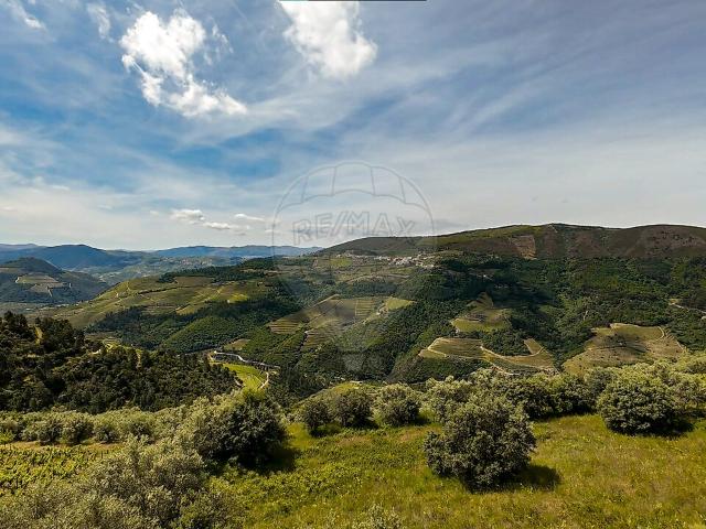 Terreno à venda em Provesende, Gouvães do Douro e São Cristóvão do Douro, Sabrosa RE/MAX Portugal