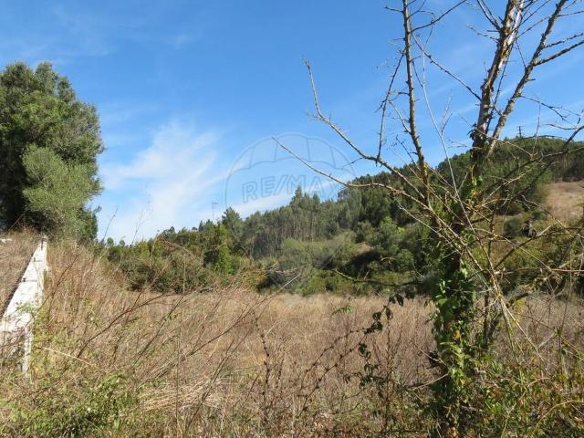 Terreno à venda em Pucariça