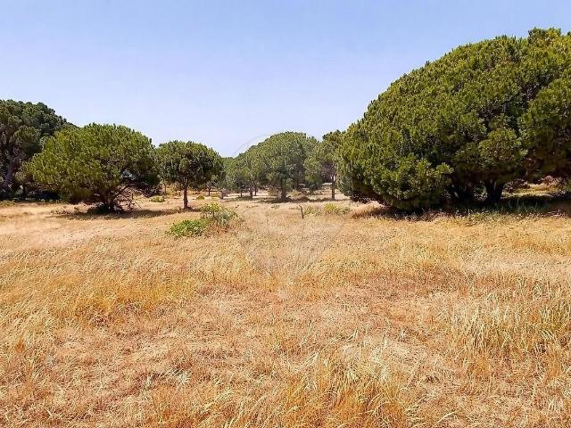 Terreno à venda em Quarteira, Loulé RE/MAX Portugal