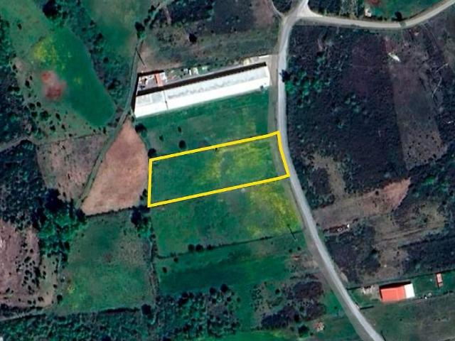 Terreno à venda em Queirã, Vouzela RE/MAX Portugal