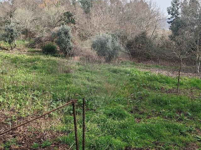 Terreno à venda em Queirã, Vouzela RE/MAX Portugal