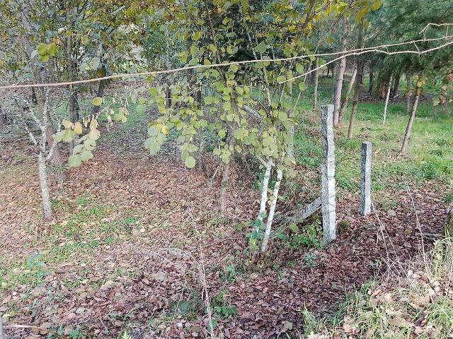 Terreno à venda em Queirã, Vouzela RE/MAX Portugal