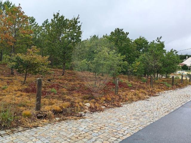 Terreno à venda em Queiriga, Vila Nova de Paiva RE/MAX Portugal
