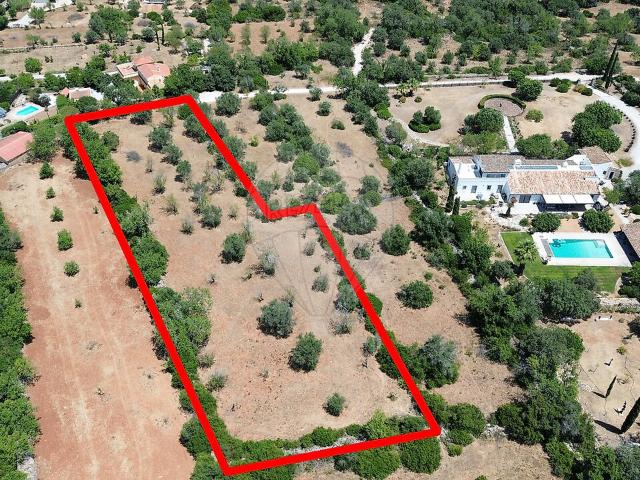 Terreno à venda em Querença, Tôr e Benafim, Loulé RE/MAX Portugal