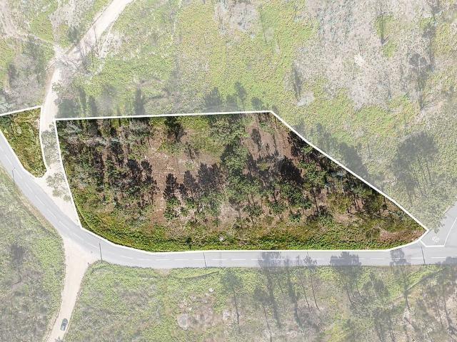 Terreno à venda em Quinchães, Fafe RE/MAX Portugal