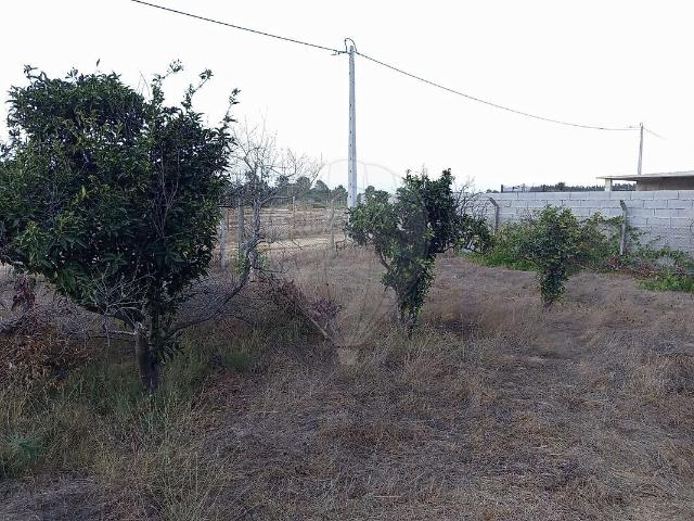 Terreno à venda em Quinta do Anjo, Palmela RE/MAX Portugal