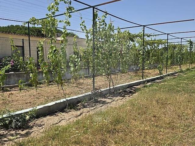 Terreno à venda em Quinta do Anjo, Palmela RE/MAX Portugal