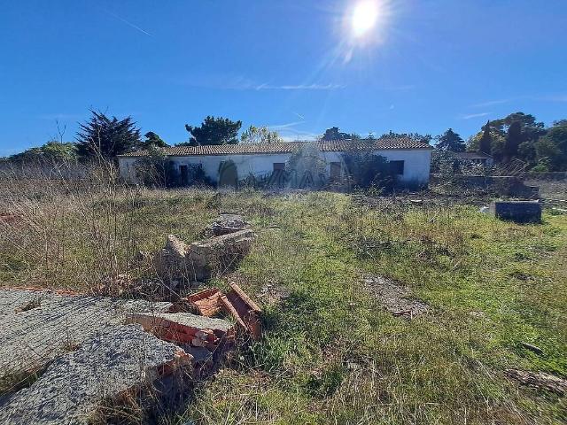 Terreno à venda em Quinta do Anjo, Palmela RE/MAX Portugal
