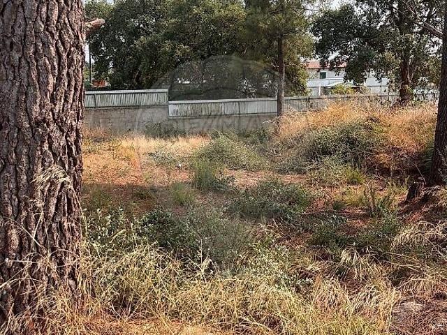 Terreno à venda em Quinta do Anjo, Palmela RE/MAX Portugal