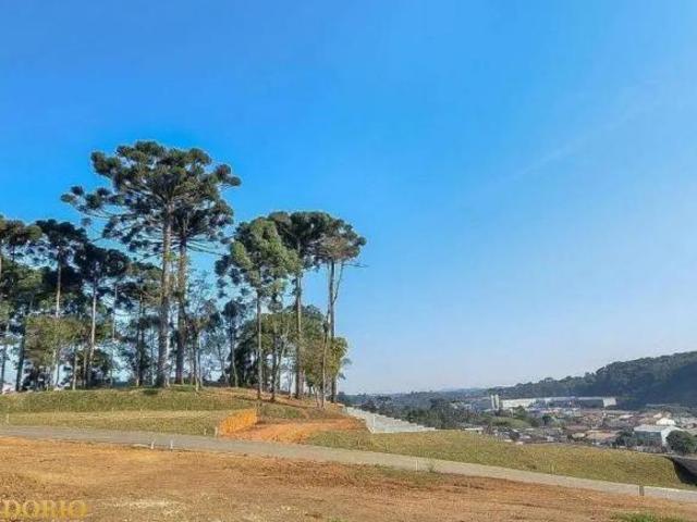 Terreno à venda em Roça Grande