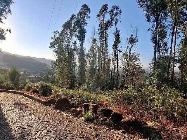 Terreno à venda em Roriz, Santo Tirso RE/MAX Portugal