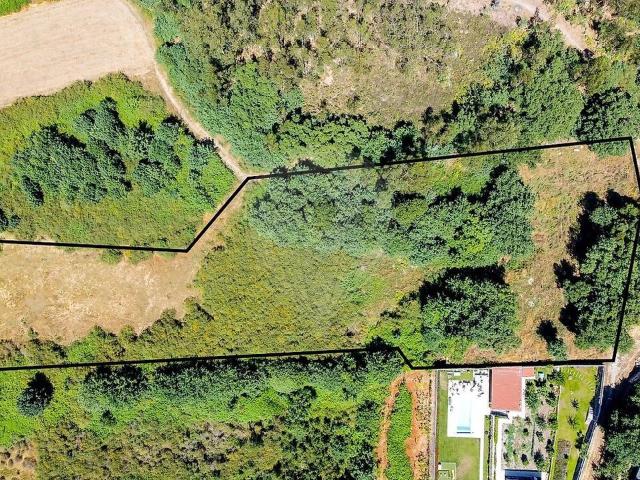 Terreno à venda em Roriz, Santo Tirso RE/MAX Portugal