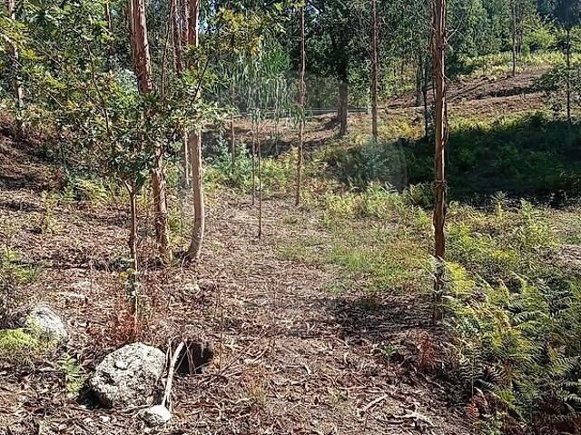 Terreno à venda em Rossas, Vieira do Minho RE/MAX Portugal