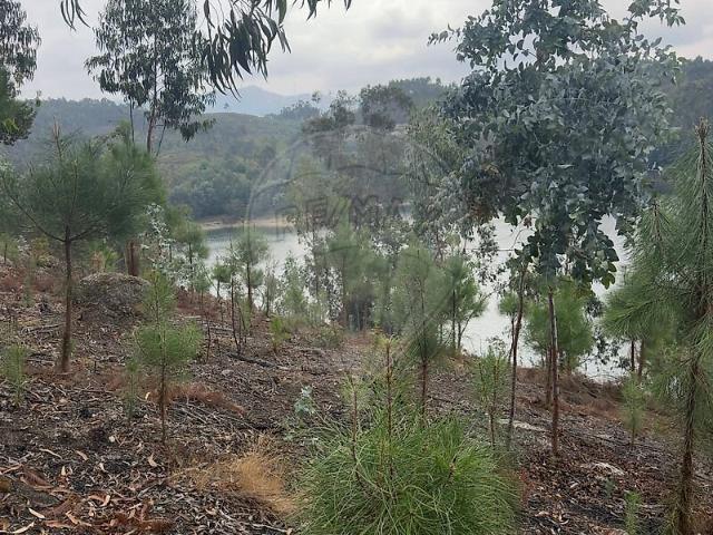 Terreno à venda em Rossas, Vieira do Minho RE/MAX Portugal