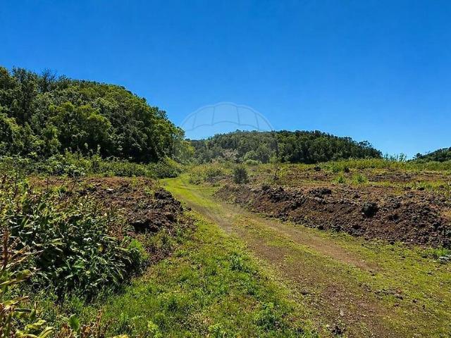Terreno à venda em Rosto de Cão São Roque, Ponta Delgada RE/MAX Portugal