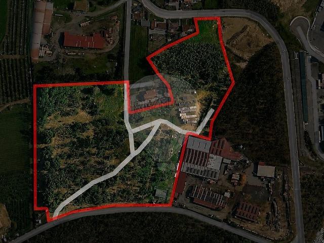 Terreno à venda em Rates, Póvoa de Varzim RE/MAX Portugal