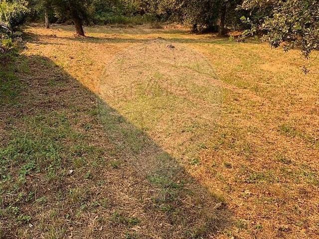 Terreno à venda em Raimonda, Paços de Ferreira RE/MAX Portugal