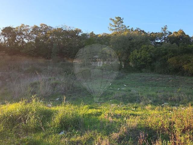 Terreno à venda em Reguengo do Fetal, Batalha RE/MAX Portugal