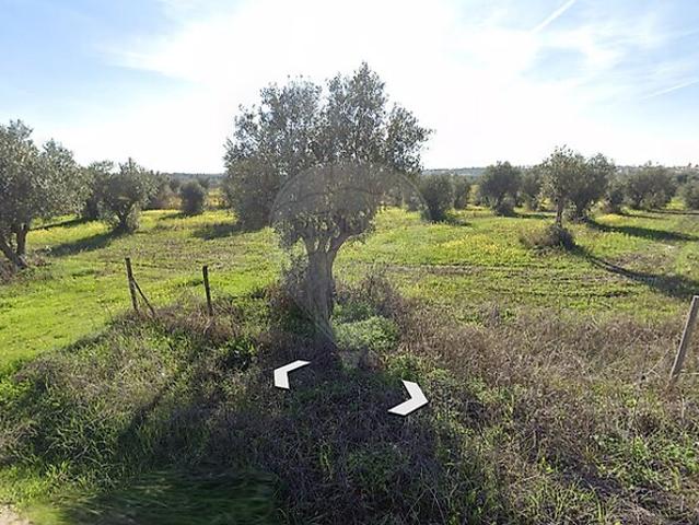 Terreno à venda em Reguengos de Monsaraz, Reguengos de Monsaraz RE/MAX Portugal