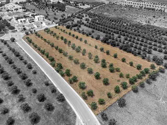 Terreno à venda em Reguengos de Monsaraz, Reguengos de Monsaraz RE/MAX Portugal