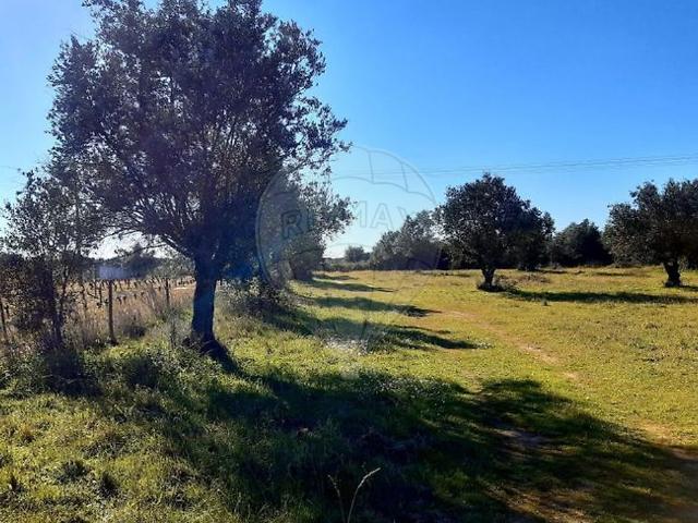 Terreno à venda em Reguengos de Monsaraz