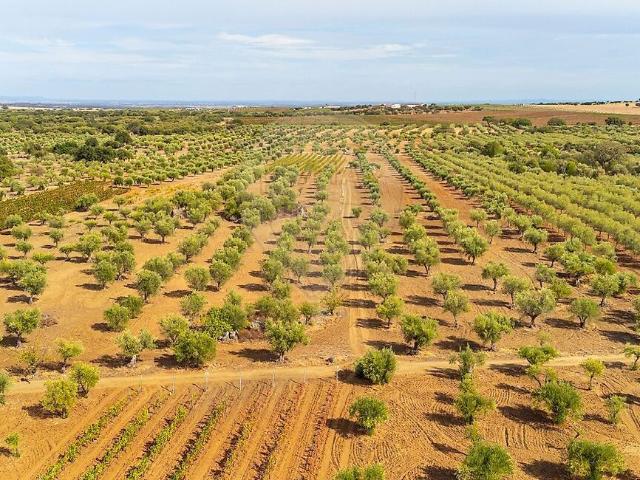 Terreno à venda em Reguengos de Monsaraz