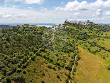Terreno à venda em Reguengos de Monsaraz