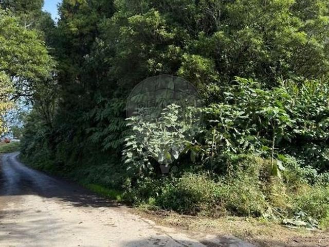 Terreno à venda em Remédios, Ponta Delgada RE/MAX Portugal