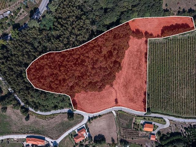 Terreno à venda em Rendufinho, Póvoa de Lanhoso RE/MAX Portugal