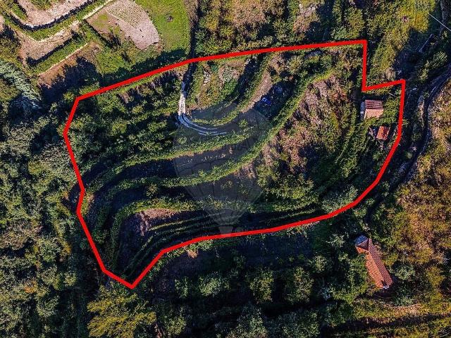 Terreno à venda em Resende, Resende RE/MAX Portugal