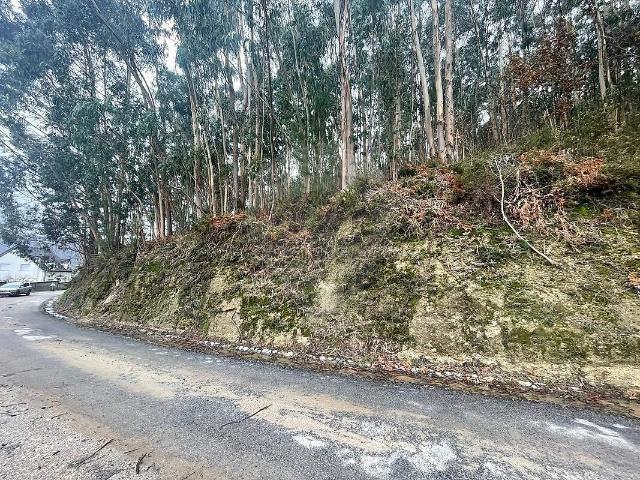 Terreno à venda em Ribeira do Neiva, Vila Verde RE/MAX Portugal