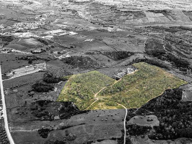 Terreno à venda em Rio Maior