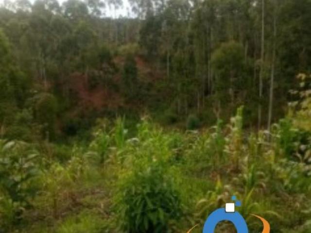 Terreno à venda em Rio Branco do Sul PR, 3.400,00 m² de área no bairro X!