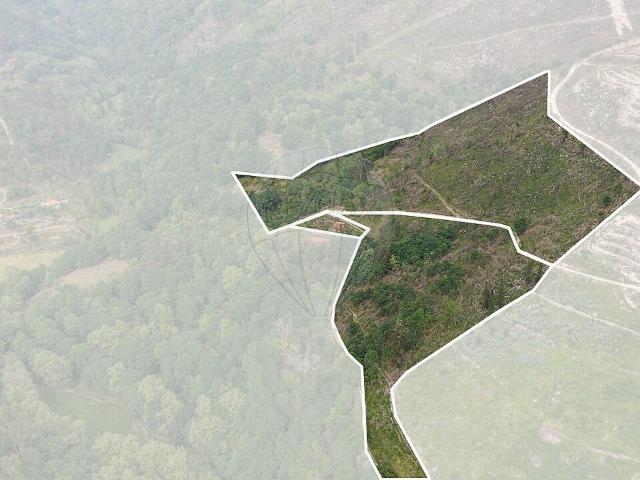 Terreno à venda em Rio Douro, Cabeceiras de Basto RE/MAX Portugal