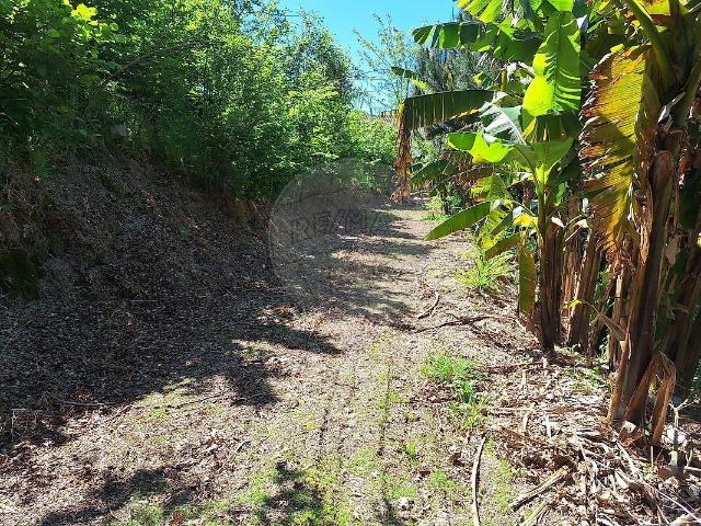Terreno à venda em Rio Frio, Arcos de Valdevez RE/MAX Portugal